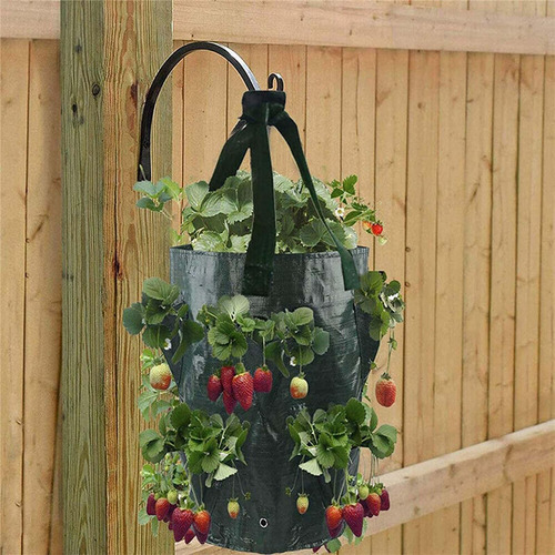 Saco De Cultivo De Morango, 3 Galões, Dobrável Com Verde