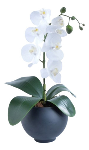 Arranjo Orquídea Permanente Branca Vaso Preto Fosco