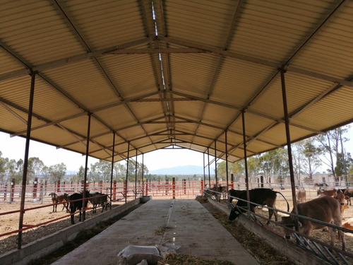 Rancho En Venta Cerca De Polotitlán Querétaro - Precio De Remate