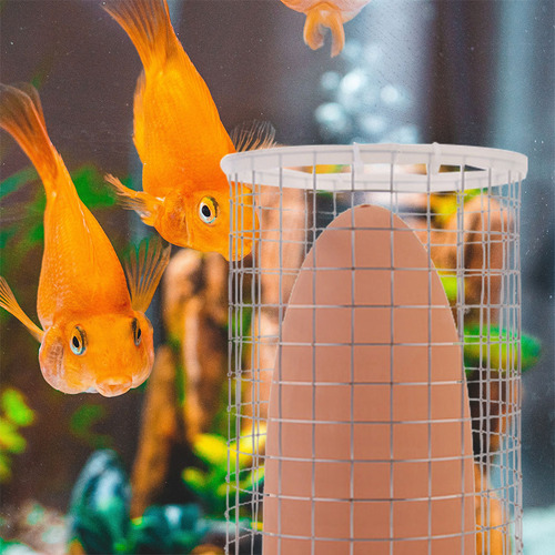 Cubo De Cría De Peces Cubo Cilíndrico Para Desove