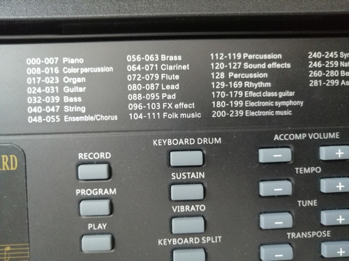 Imagen 8 de 9 de Teclado Musical 300 Sonidos, 8 Páneles Percusión, 300 Ritmos
