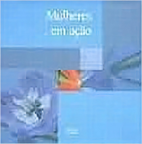 Mulheres Em Ação, De Lidia Maria Riba. Editora Vergara & Riba, Capa Dura Em Português