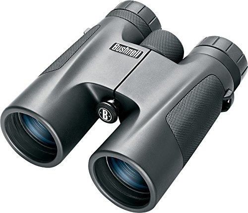 Bushnell 10 X 42 Powerview Roof Prism Binocular