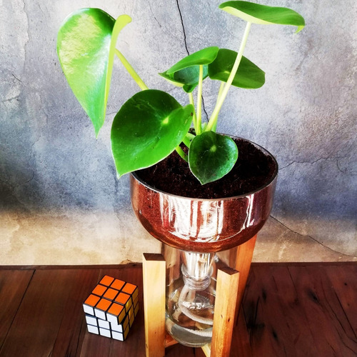 Imagen 9 de 10 de Cuchara Little Plant 27 Con Soporte, Maceta Autorregante