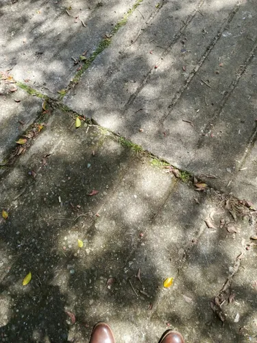 Bodega En Venta En San Cristóbal. Cod V12524