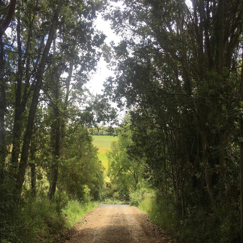 Loteo Don Jaime / Región De Los Lagos (67191)