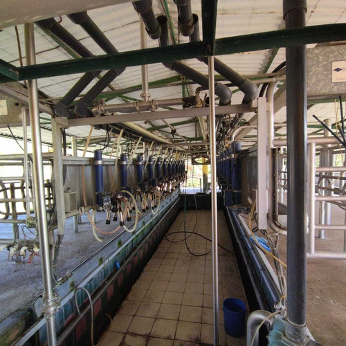 Imagen 6 de 20 de Finca En Carabobo Bejuma Aa
