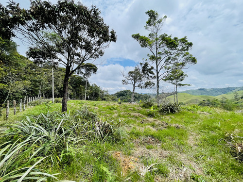 Venta De Lote Rural En San Roque, Antioquia