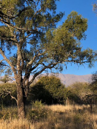 Imagen 2 de 16 de Lotes De 1000 M2 Camino A San Javier - Posesion / Las Tapias - Traslasierra