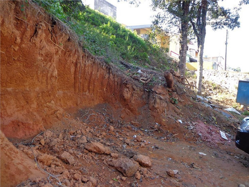 Imagem 3 de 3 de Terreno Residencial À Venda, Jardim Renata, Arujá. - Te0065