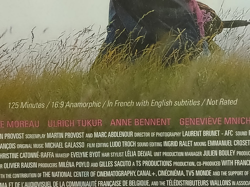 Dvd Seraphine Yolande Moreau (importado) (Usado)