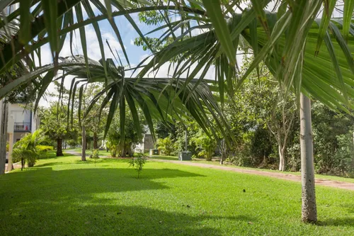 Casa Con Jardín Y Alberca Privada, Huayacan, Cancun.