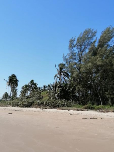 Venta Lotes 600 M² Playa De Barra Galindo Tamiahua Veracruz
