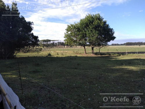 Imagen 16 de 29 de Chacra Agricola En Venta 32 Has- San Pedro
