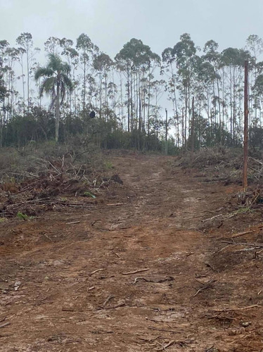 Imagem 12 de 14 de A01- 1500m2 De Terreno Plaino Em Ibiuna!