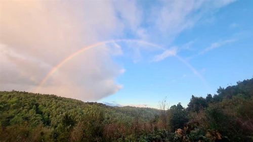 Se Vende Campo De 23 Hectáreas En Los Muermos - Los Lagos. 