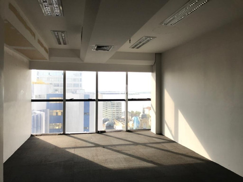 Imagem 3 de 8 de Andar/laje Comercial Para Aluguel, Centro Histórico - Porto Alegre/rs - 11316
