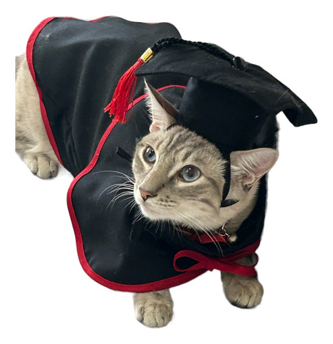 Disfraz De Graduado Para Mascotas Talla 1