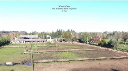 Imagen 15 de 22 de Campo Para Diversos Negocios