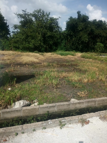 Imagen 6 de 11 de Residencial Terreno En Venta