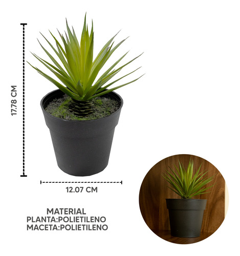 Kit 3 Maceta Mini De Hierba Espada De Plástico Para Interior