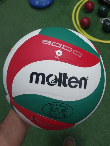 Balon Voleibol Molten