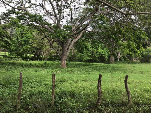 Imagen 11 de 16 de Finca En Falcon En Venta.lf
