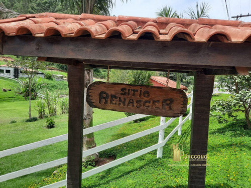 Sítio A Venda No Bairro Conquista Em Nova Friburgo - Rj. - 1479-1