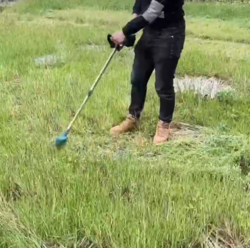 Imagen 6 de 10 de Podadora Desbrozadora Guadaña Recargable Liviana Podacesped