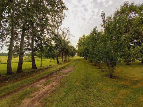 Imagen 20 de 21 de Se Vende Exclusivo Complejo Turístico En San Javier