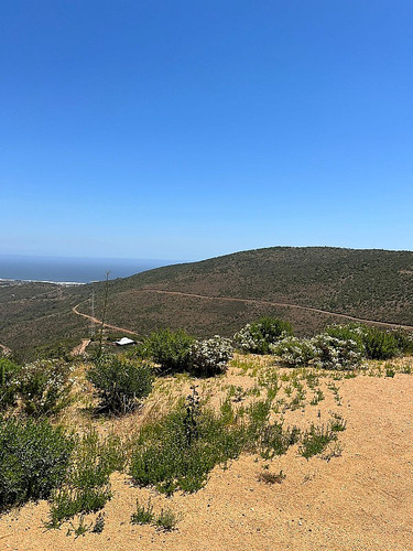 Venta De Parcela En Huaquen, Cerca A Playa Pichicuy,la Ligua