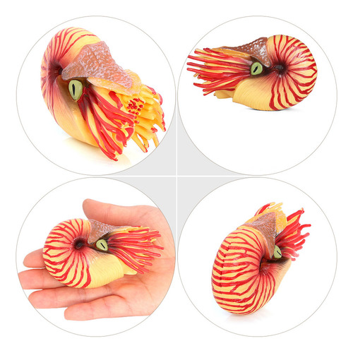 Adorno Simulado Con Forma De Nautilus, Modelo De Animal Mari
