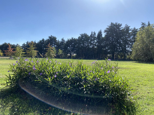 Terreno En Parque Ecológico  Exaltación De La Cruz 