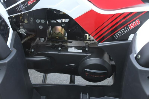 Imagen 15 de 21 de Tao Motor Bull 150, Automaticas 0 Klm 2022