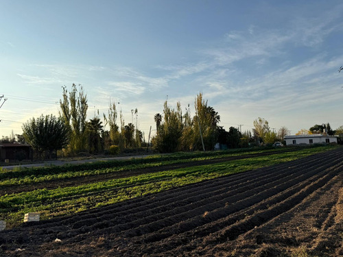 Finca De 6 Has En Venta En Los Corralitos, Gllén