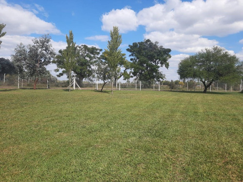 Imagen 4 de 8 de Lote En Venta, San Alfonso, Pilar