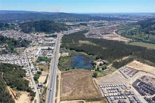 Imagen 7 de 22 de Sitio En Venta En Concepción