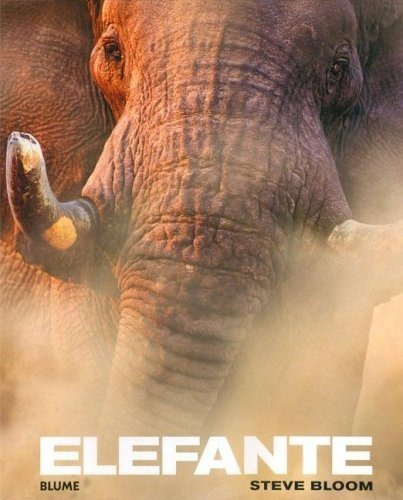 Elefante, De Steve Bloom. Editorial Blume, Tapa Dura, Edición 1 En Español, 2006