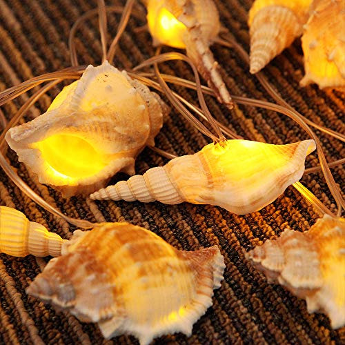 **luces De Cadena De Conchas Reales Océano 10 Led Cál...