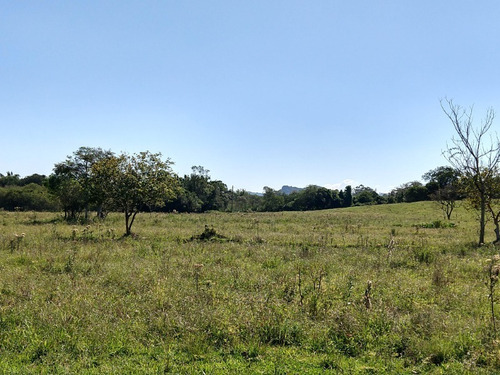 Chácara 20.000 M² - Costa Do Ipiranga - Gravataí - Rs - 1757 - 32430255