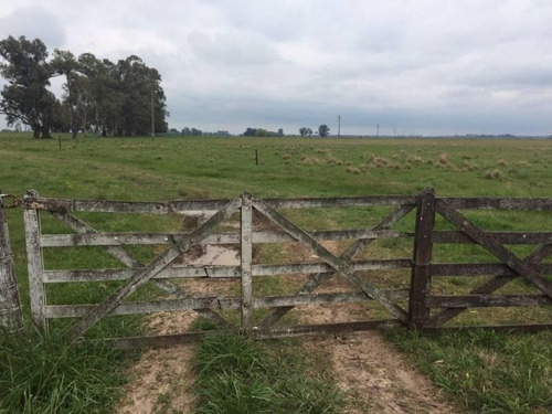 Imagen 10 de 10 de Venta - Campo En Plomer Pdo. General La Heras - Bayugar Negocios Inmobiliarios