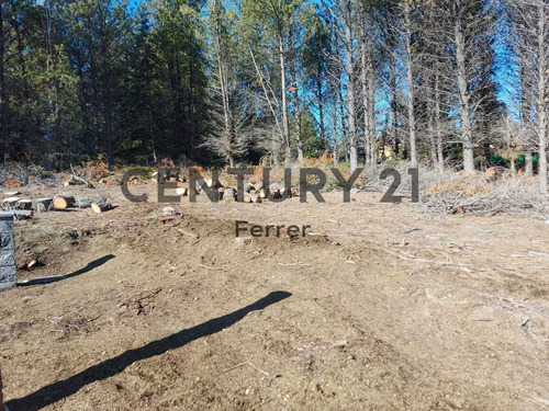 Imagen 11 de 14 de Lote En Venta - Bariloche - Dina Huapi - Loteo Dina Hue - Id: 46806