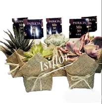 Comprar Plantitas Suculentas N8 Naturales Regalos Souvenirs Isiflor