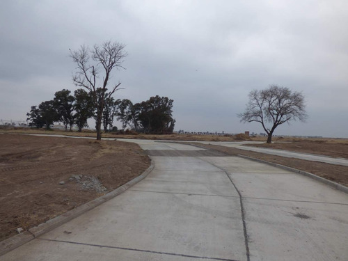 Imagen 7 de 9 de Lote Residencial Campos De Manantiales