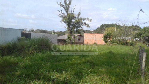 Imagem 4 de 6 de Terreno - Belem Novo - Ref: 149415 - V-149415
