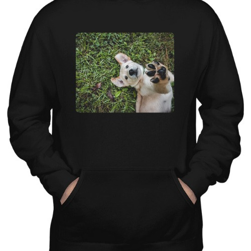 Sudadera Personalizada Con Foto De Tu Mascota