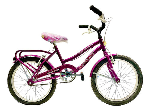 Bicicleta Paseo Rodado 20 Fucsia