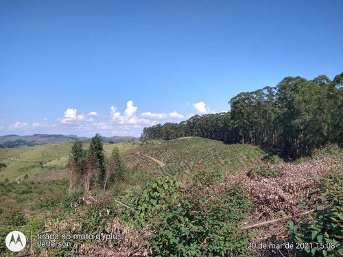 Rt Terrenos Pra Você Que Gosta Da Natureza (guarulhos)
