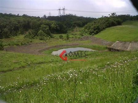 Imagem 6 de 7 de Chácara À Venda, 1800 M² Por R$ 350.000,00 - Riacho Grande - São Bernardo Do Campo/sp - Ch0001