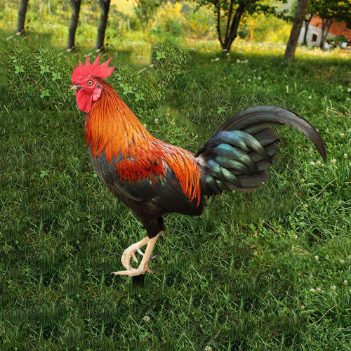 Mz Estacas De Jardín Con Estatua De Animales De Gallo,